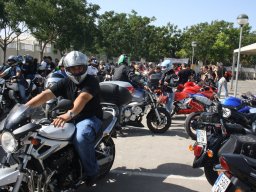 XVI Concentracion - 2009